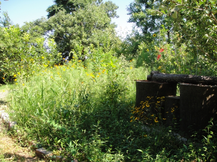 c0108460_1844876.jpg
