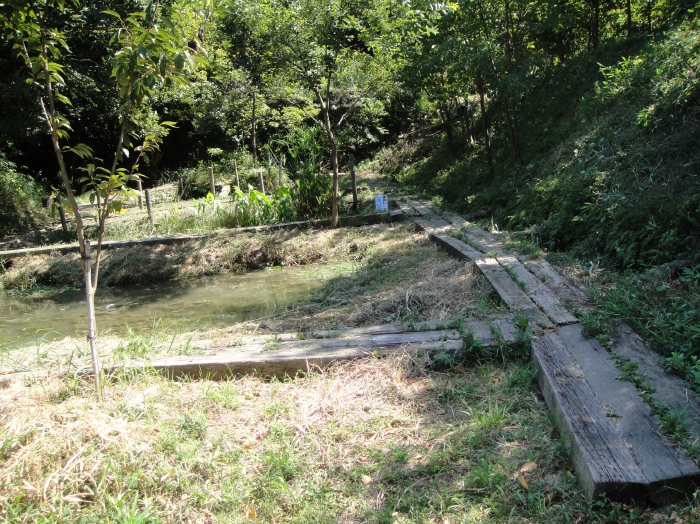 c0108460_1851229.jpg