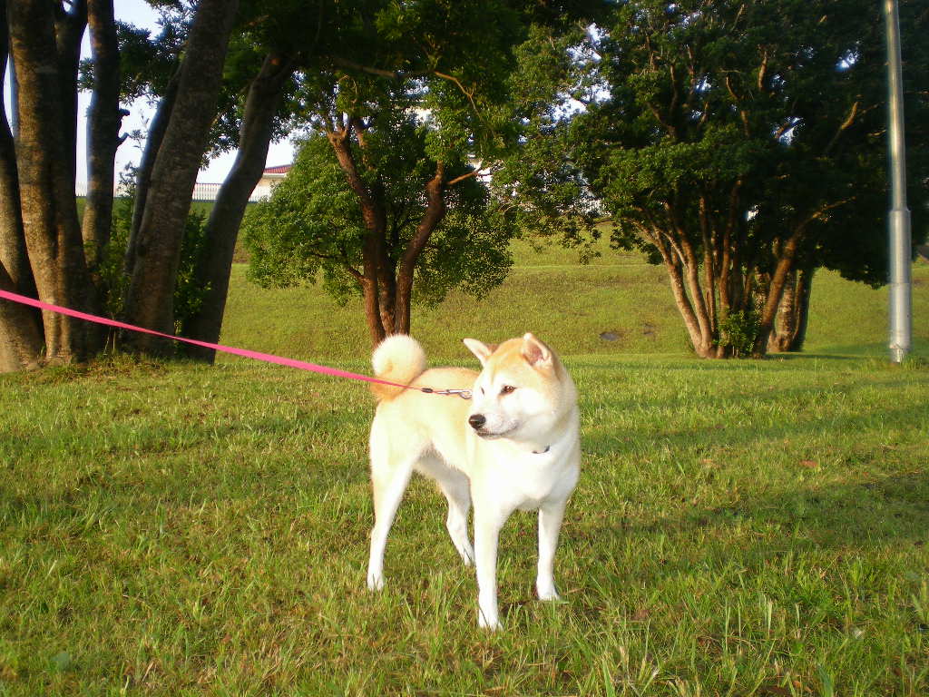 2009年9月1日(火)台風一過の愛ちゃん一家!_f0060461_19284382.jpg