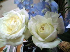 c0131164_061591.jpg