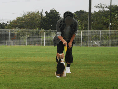 b0091373_0491094.gif