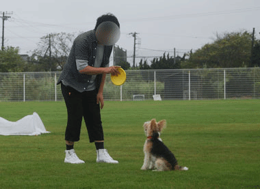b0091373_0492711.gif