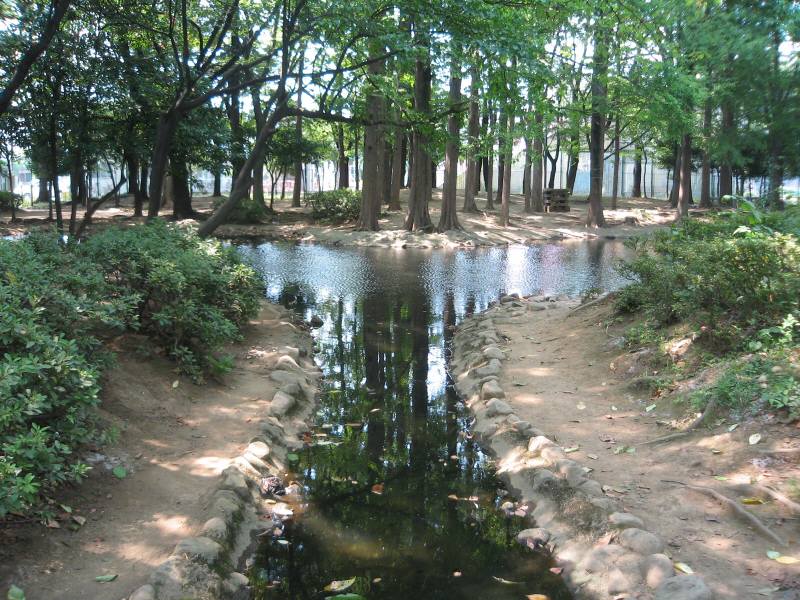 つつじ公園と都市計画公園南部公園_f0059673_1738179.jpg