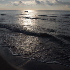 a0114476_28465.jpg