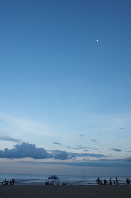 a0114476_293424.jpg