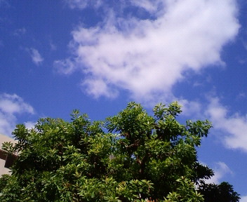 e0184077_21385231.jpg
