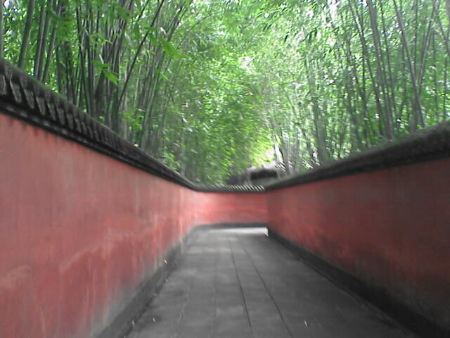 c0069380_1515154.jpg