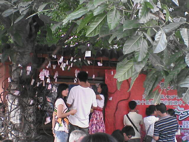 c0069380_1516057.jpg
