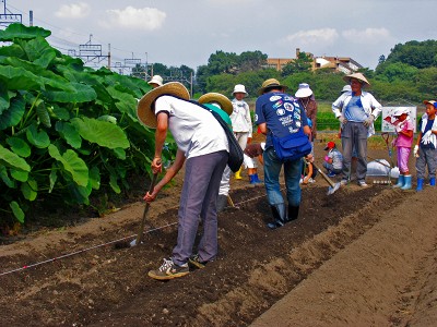 8月のふれあい菜の花子ども教室　2009/08/29（土）_c0145581_2050231.jpg