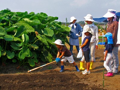 8月のふれあい菜の花子ども教室　2009/08/29（土）_c0145581_20511216.jpg