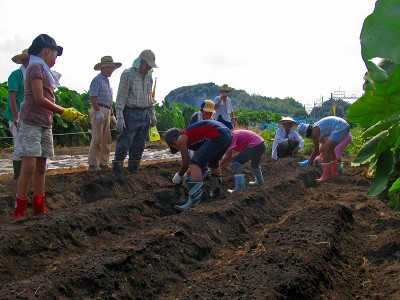 8月のふれあい菜の花子ども教室　2009/08/29（土）_c0145581_20523791.jpg