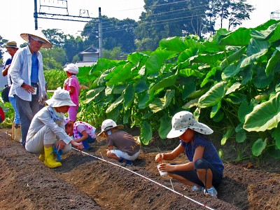 8月のふれあい菜の花子ども教室　2009/08/29（土）_c0145581_2053460.jpg