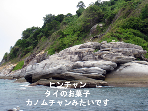 群れにうっとり♪ラチャノイ島_f0144385_2143468.jpg