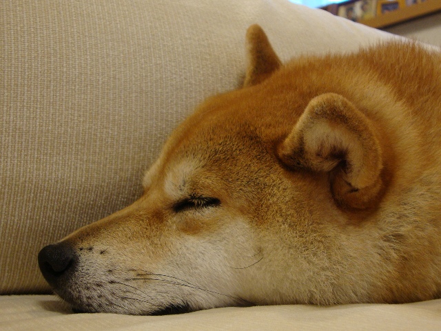 最後の日_a0126590_1817193.jpg