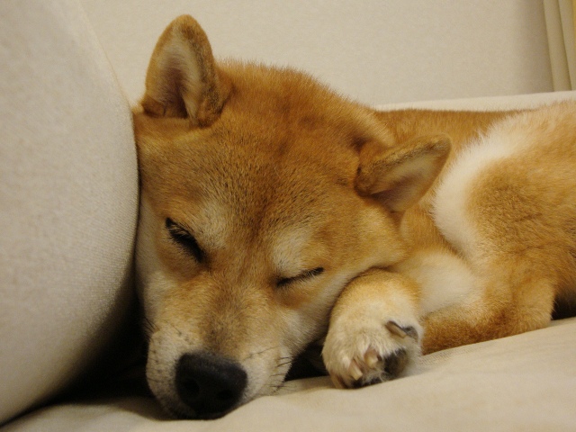 最後の日_a0126590_18192888.jpg