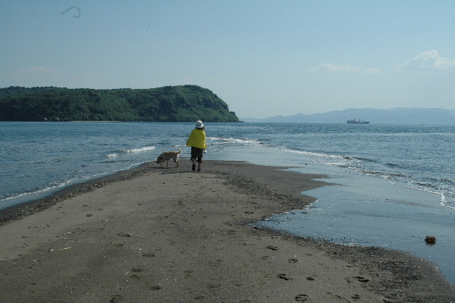 d0020993_16304497.jpg