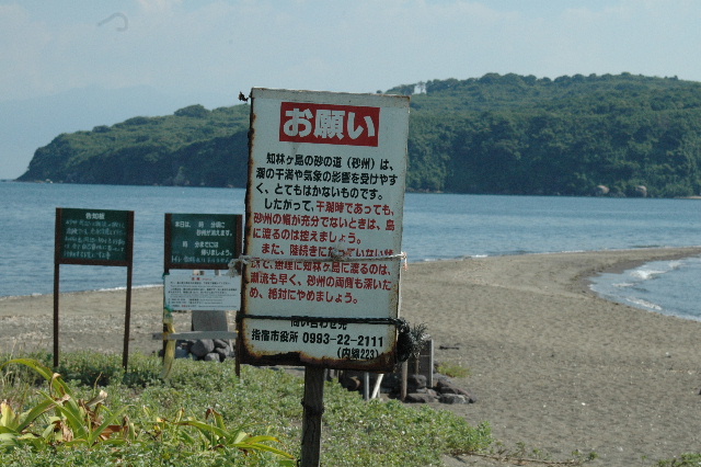 d0020993_16305793.jpg