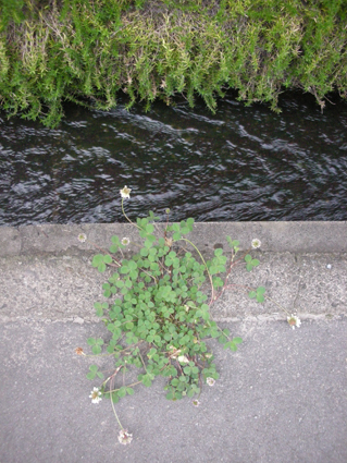 e0183600_2341269.jpg