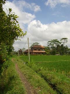 a0057402_23332057.jpg