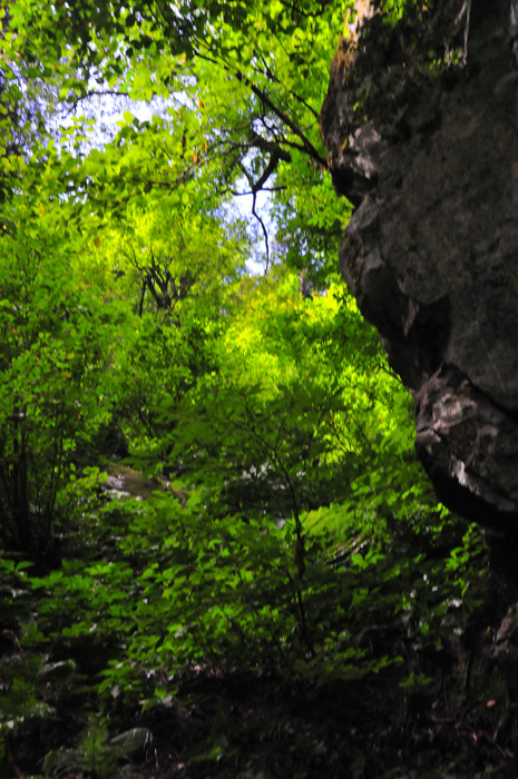 b0158403_17142832.jpg