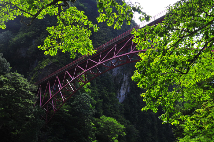 b0158403_17162057.jpg