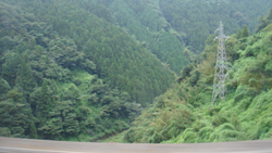 e0005603_1521626.jpg