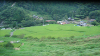 e0005603_154358.jpg