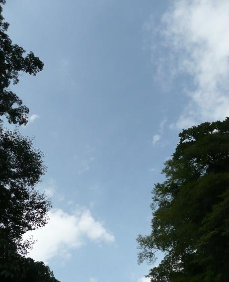 d0126708_2051563.jpg