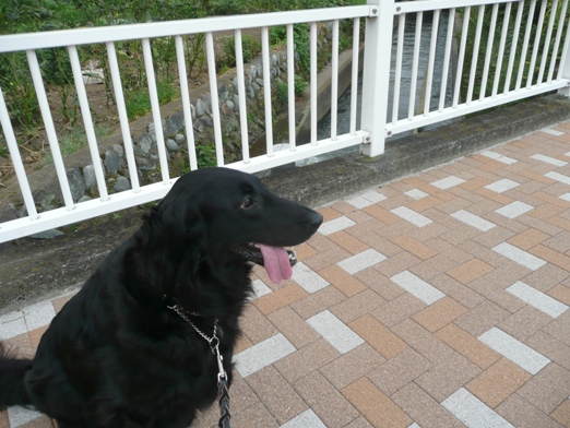 c0097309_404961.jpg