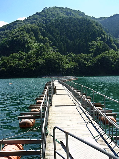 e0066210_112265.jpg