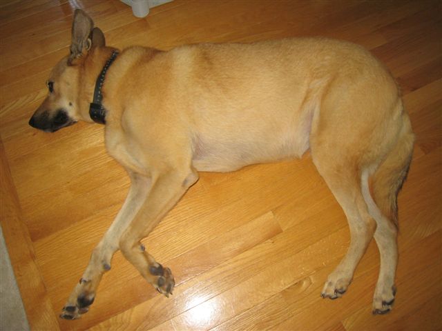 c0079011_0373814.jpg
