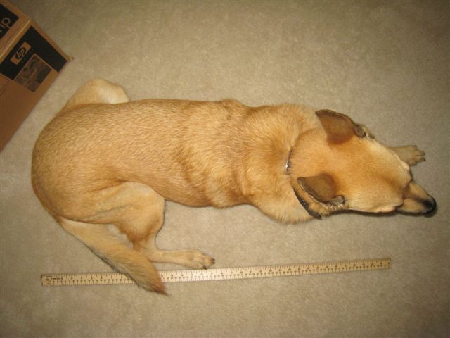 c0079011_0382850.jpg