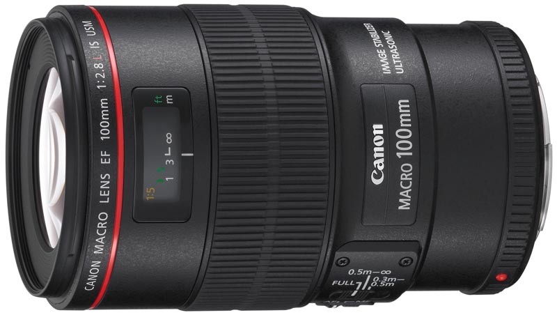 EF100mm F2.8Lマクロ IS USM_a0127512_219383.jpg