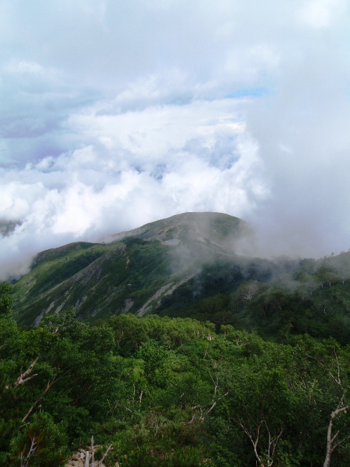 c0177814_955197.jpg