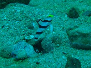 f0165225_16521771.jpg