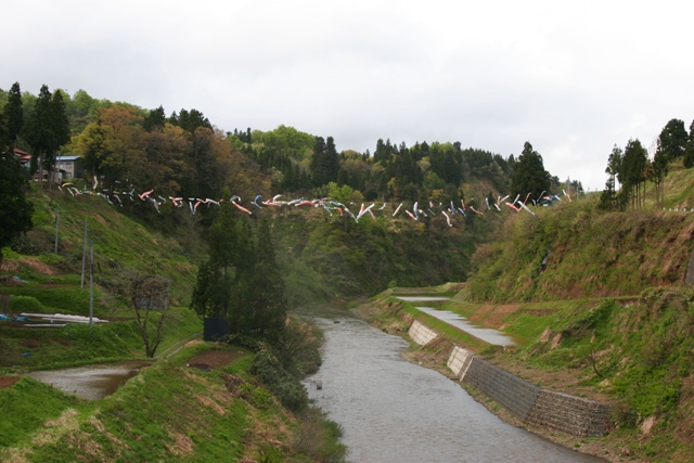 f0207329_202058100.jpg