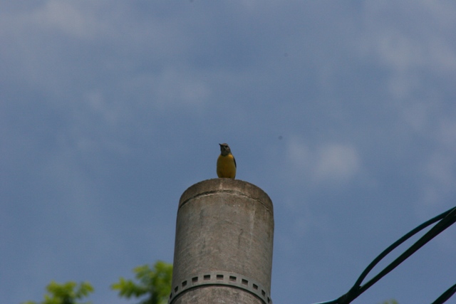 f0207329_20292568.jpg