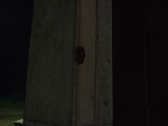f0207329_2042857.jpg