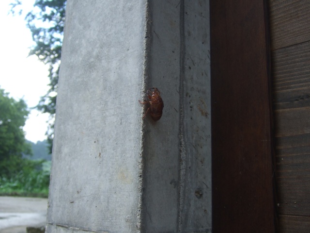 f0207329_20464574.jpg