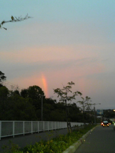 楽しみな夕方 9月2日_f0113639_17575387.jpg