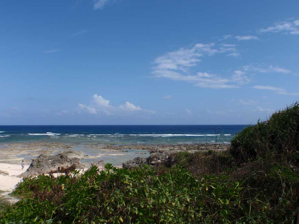 a0122740_15151674.jpg
