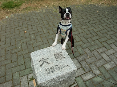 憧れの軽井沢　　～北軽井沢スウィートグラスにて～_e0126046_0112691.jpg