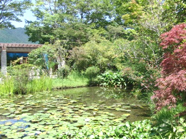湿生花園と温泉_f0197246_2255287.jpg