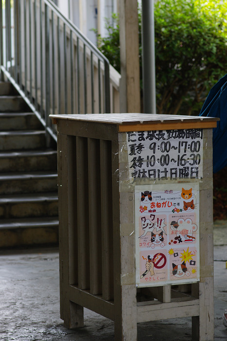 f0152550_2242150.jpg