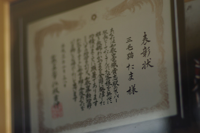 f0152550_22505369.jpg