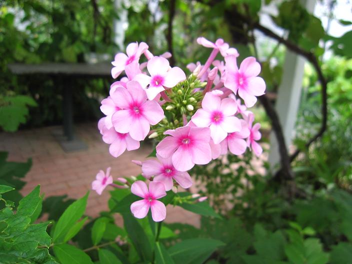 a0075455_9321461.jpg