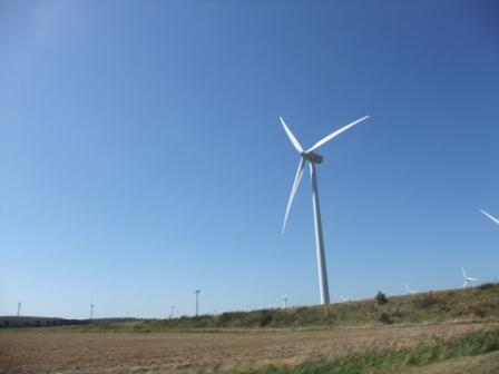 f0204057_6321512.jpg