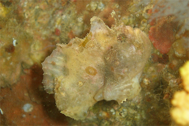 e0158261_8421164.jpg
