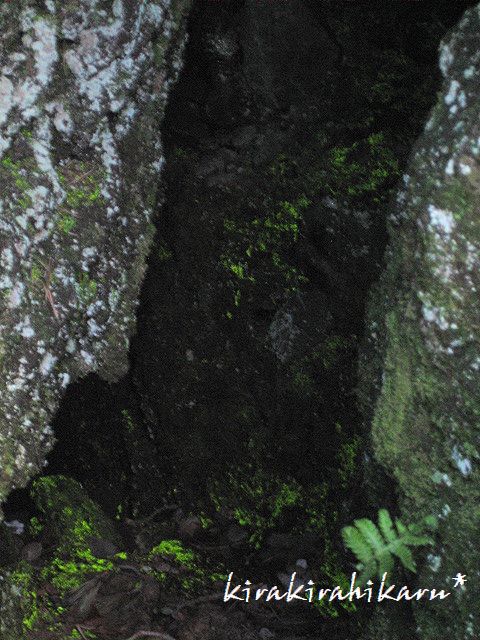 e0173670_13453929.jpg