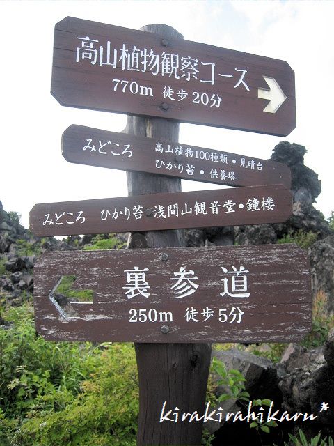 e0173670_13491925.jpg